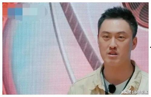 娱乐圈瓜怎么吃,轻松解锁明星八卦的奥秘